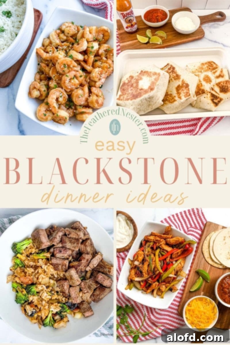 Blackstone Dinners Made Simple 1 featured 100905