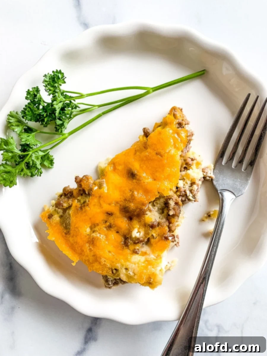 Hearty Bisquick Cheeseburger Bake 1 featured 48713