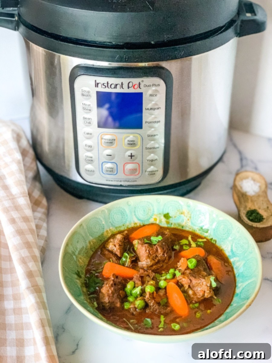 Speedy Savory Beef Stew 1 featured 5227