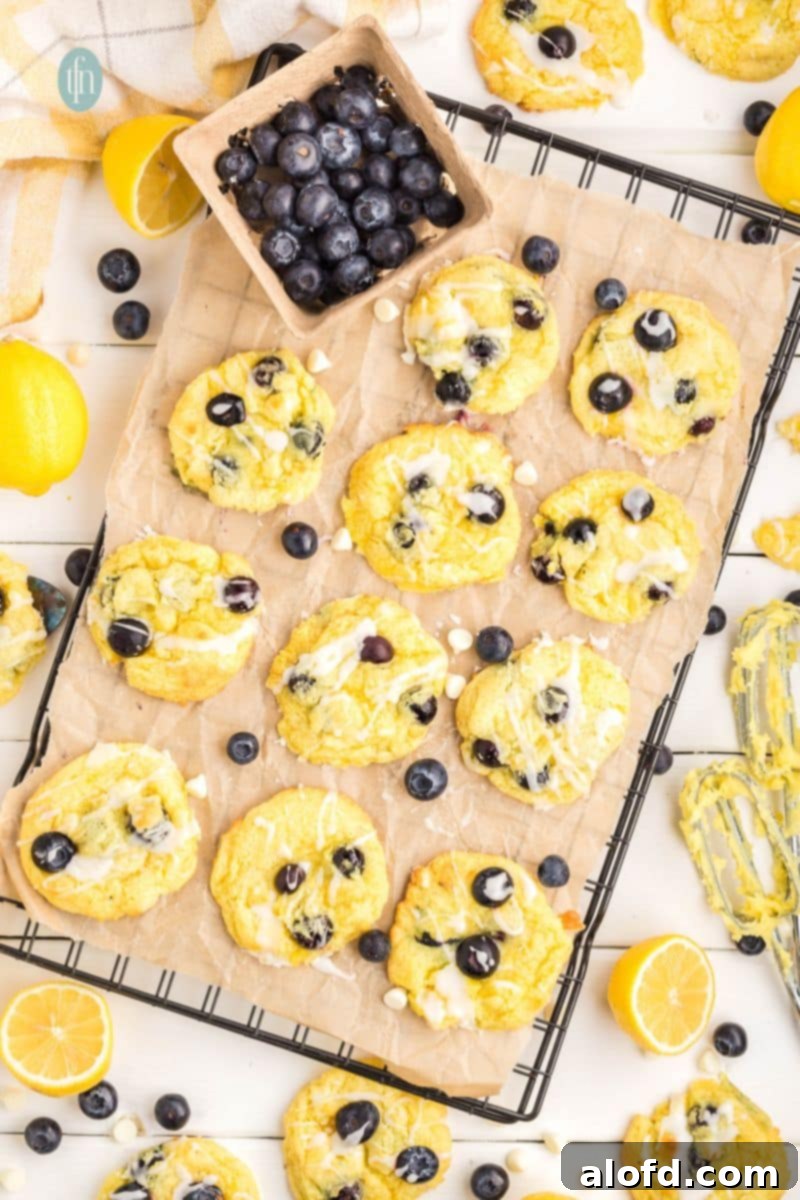 Lemon Blueberry Bliss Bites 1 featured 88422