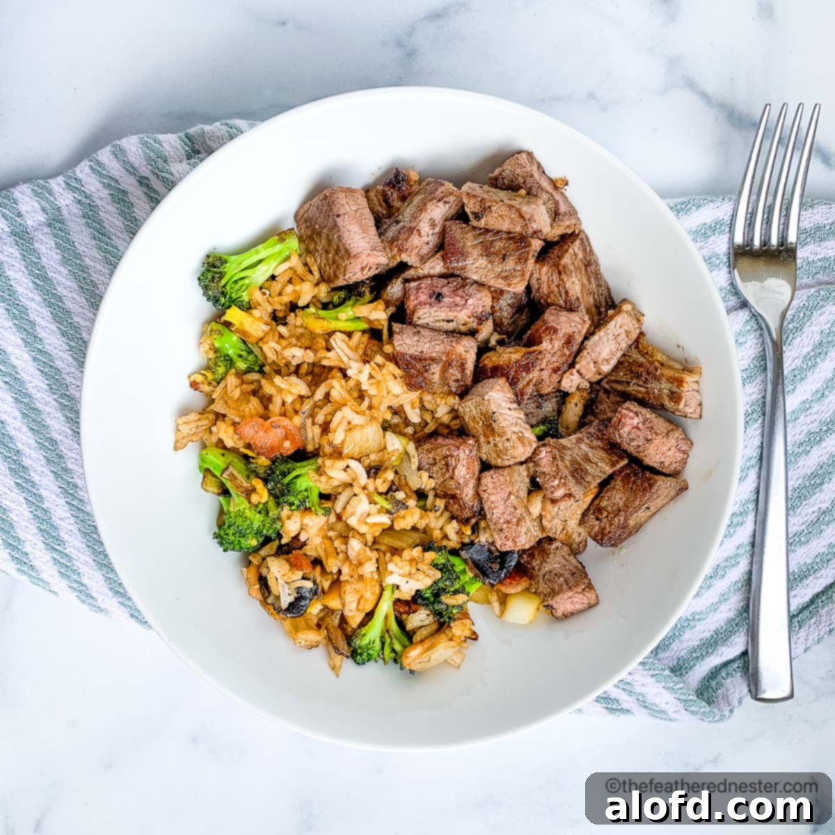 Blackstone Dinners Made Simple 14 Dinner plate with perfectly cooked pieces of steak and a generous portion of fried rice on the side, showcasing a complete and satisfying meal.