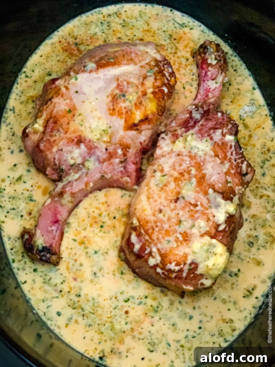 Velvet Cream Pork Chops 5 pork chops in crock pot slow cooker
