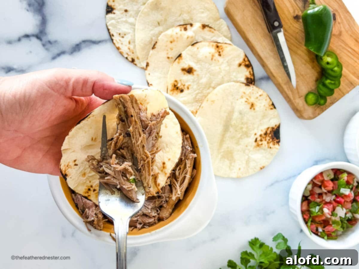 Adding forkful of Mexican pulled pork on a street taco.
