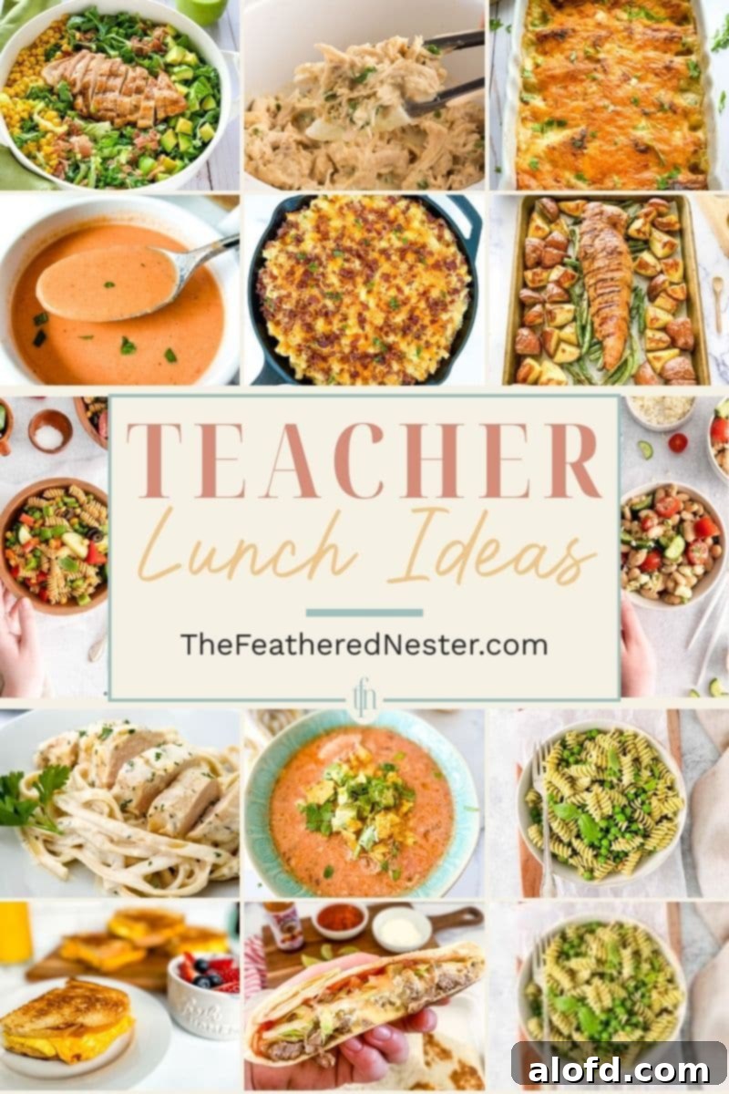 Lunchbox Hacks for Educators 2 A vibrant collage of diverse teacher lunch ideas, including sandwiches, salads, and warm meals, showcasing easy meal prep solutions for busy school days.