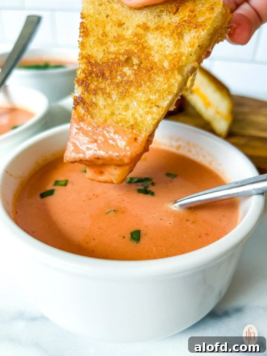 Lunchbox Hacks for Educators 5 A classic grilled cheese sandwich dipped into a comforting bowl of tomato soup, evoking a sense of warmth and simple pleasure.