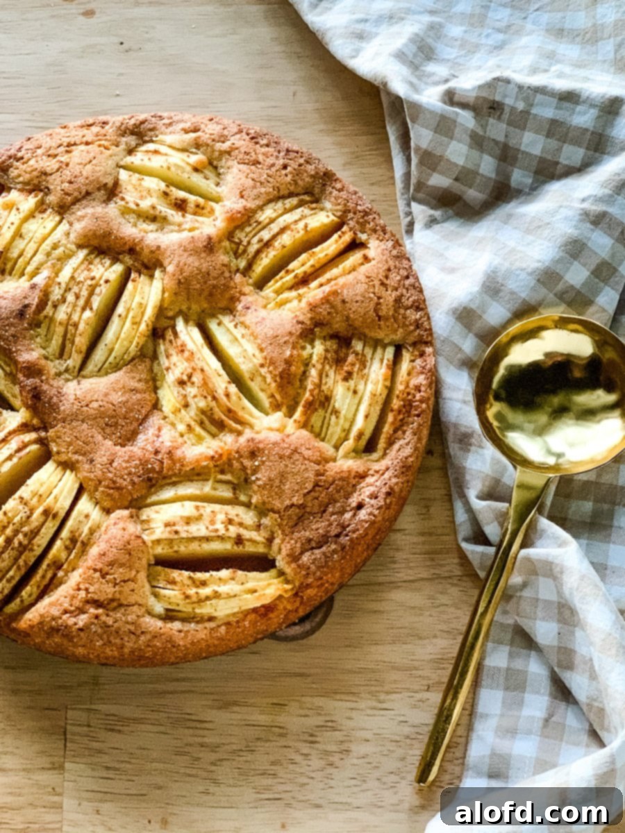 Versunkener Apfelkuchen authentic german kucken