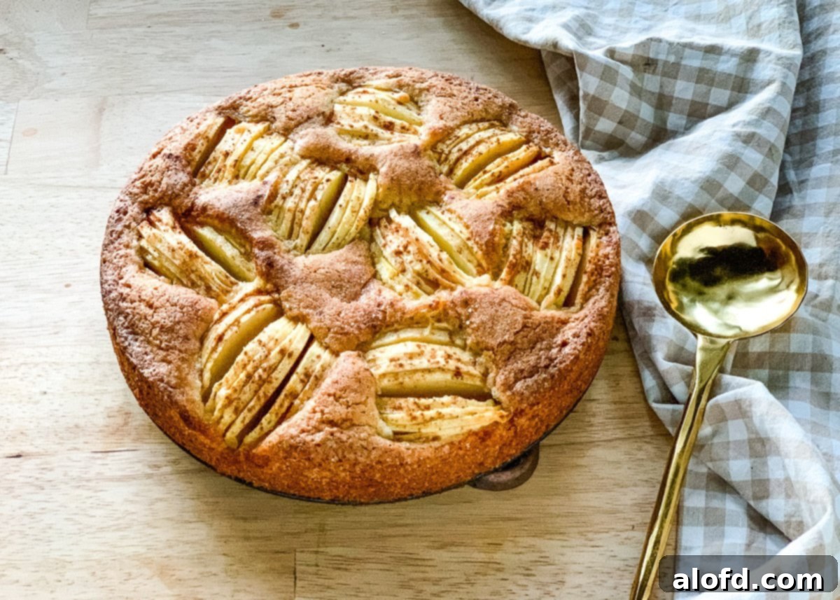 easy apple cake recipe for Versunkener Apfelkuchen authentic German kuchen