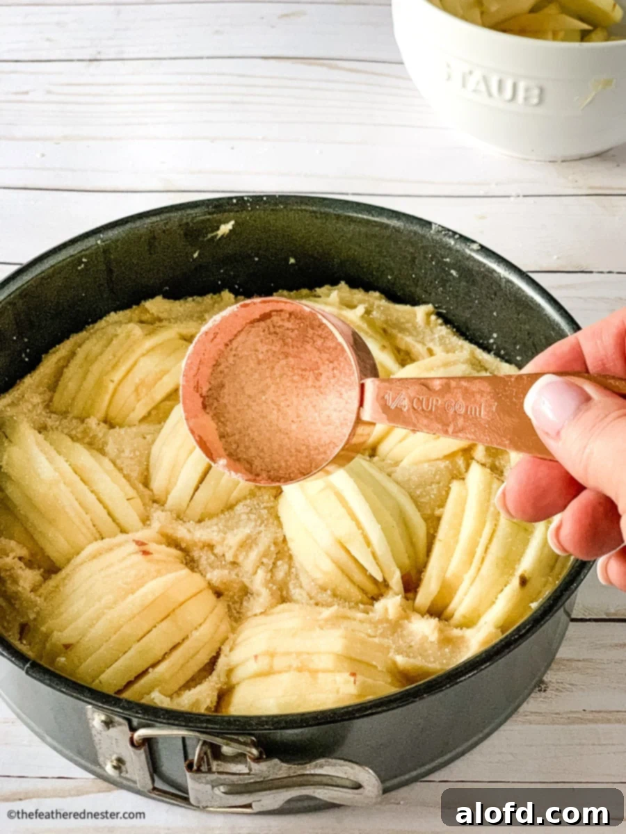 slices of apple sprinkled with cinnamon and sugar