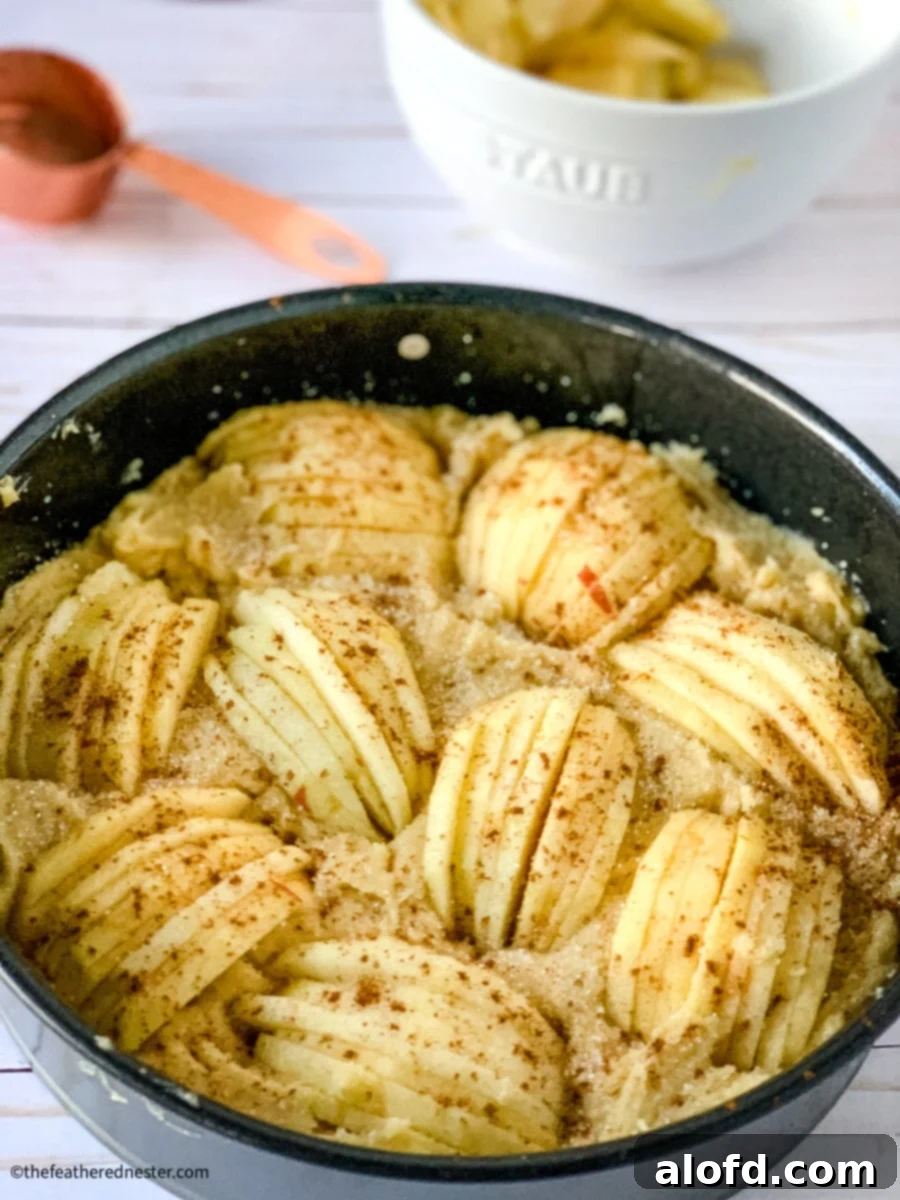springform pan apple cake