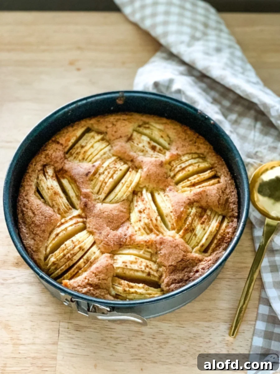 Versunkener Apfelkuchen authentic easy German Kuchen Apple Cake recipe