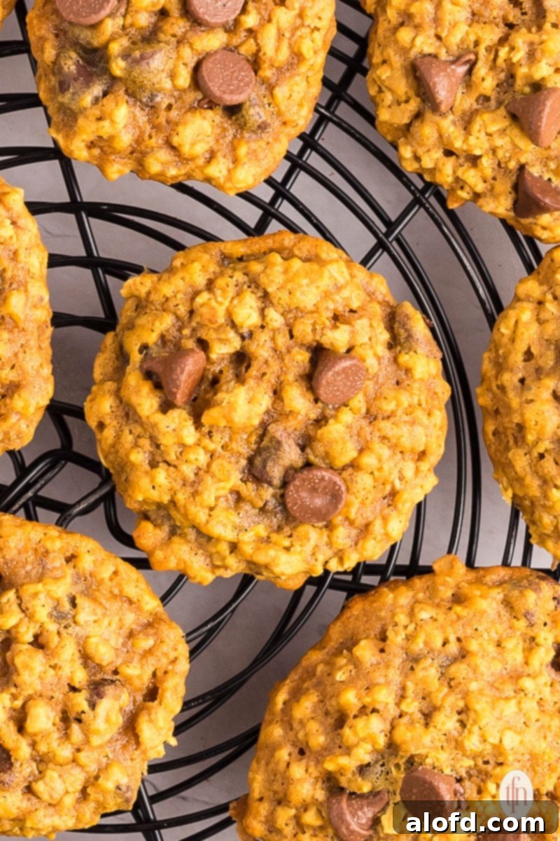Warm pumpkin oatmeal chocolate chip cookies cooling on a wire rack, ready to be enjoyed.