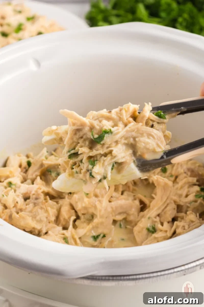 Game Day Grub 3 serving honey garlic chicken from the crock pot.