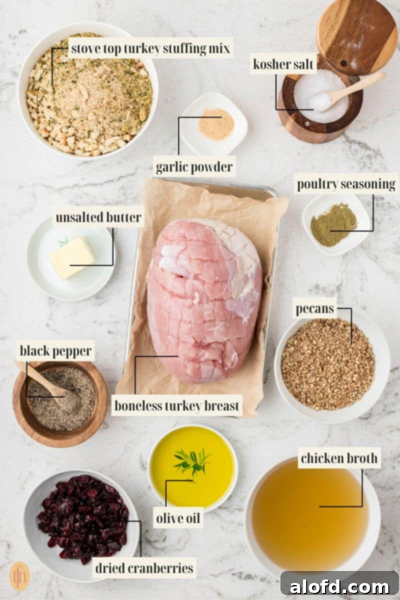 An overhead shot of all the ingredients for Stuffed Turkey Breast with each item clearly labeled: a bowl of stove top turkey stuffing mix, a slab of unsalted butter, black pepper, dried cranberries, garlic powder, a piece of raw boneless turkey breast, olive oil, ground pecans, poultry seasoning, kosher salt, and chicken broth.