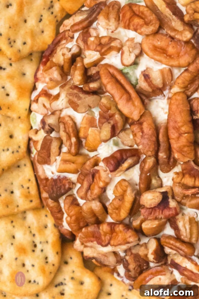 Overhead, tightly cropped view of the pecan-crusted cheese ball, showing the border where the nuts meet a stack of square, poppy-seed crackers.