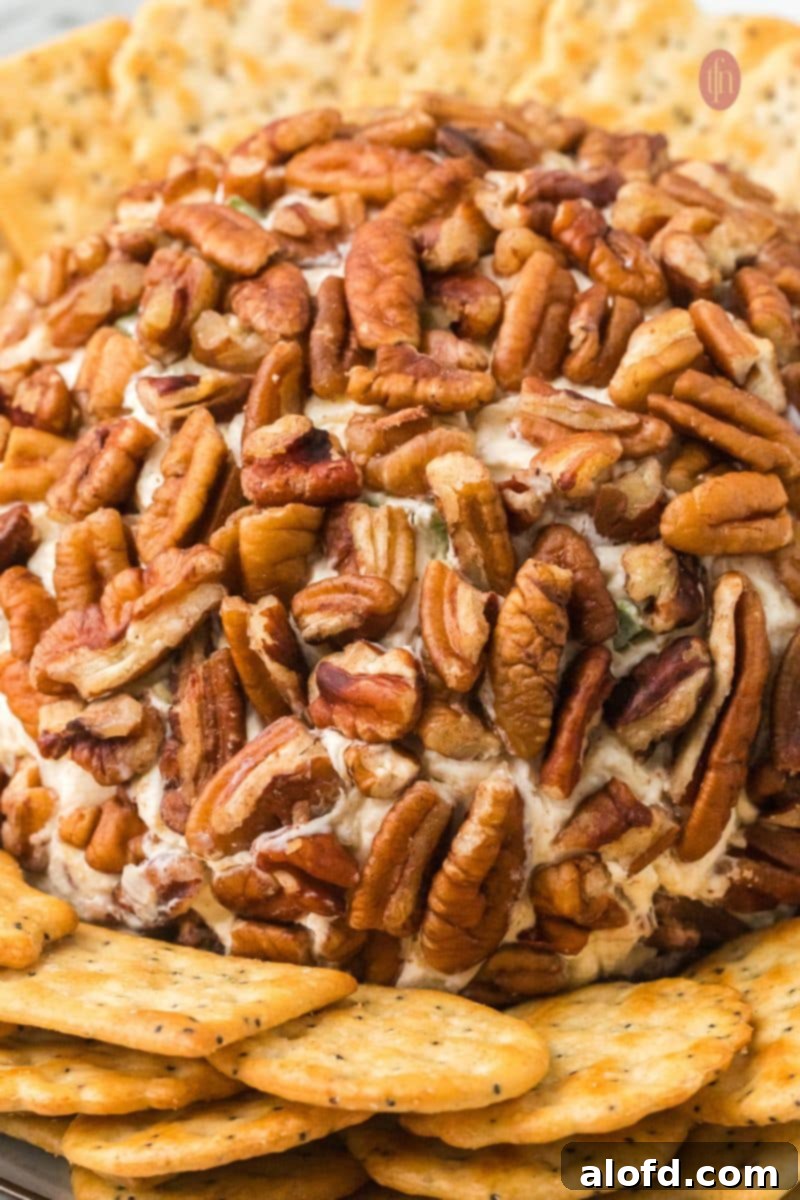 Close-up, slightly elevated shot of the entire top surface of the pecan-covered cheese ball, surrounded by a low pile of round crackers.