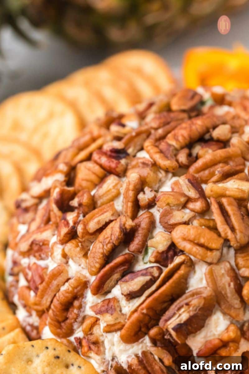 Extreme close-up of the pecan coating on the side of a cheese ball, highlighting the texture of the nuts pressed into the creamy white filling, with blurred crackers in the background.