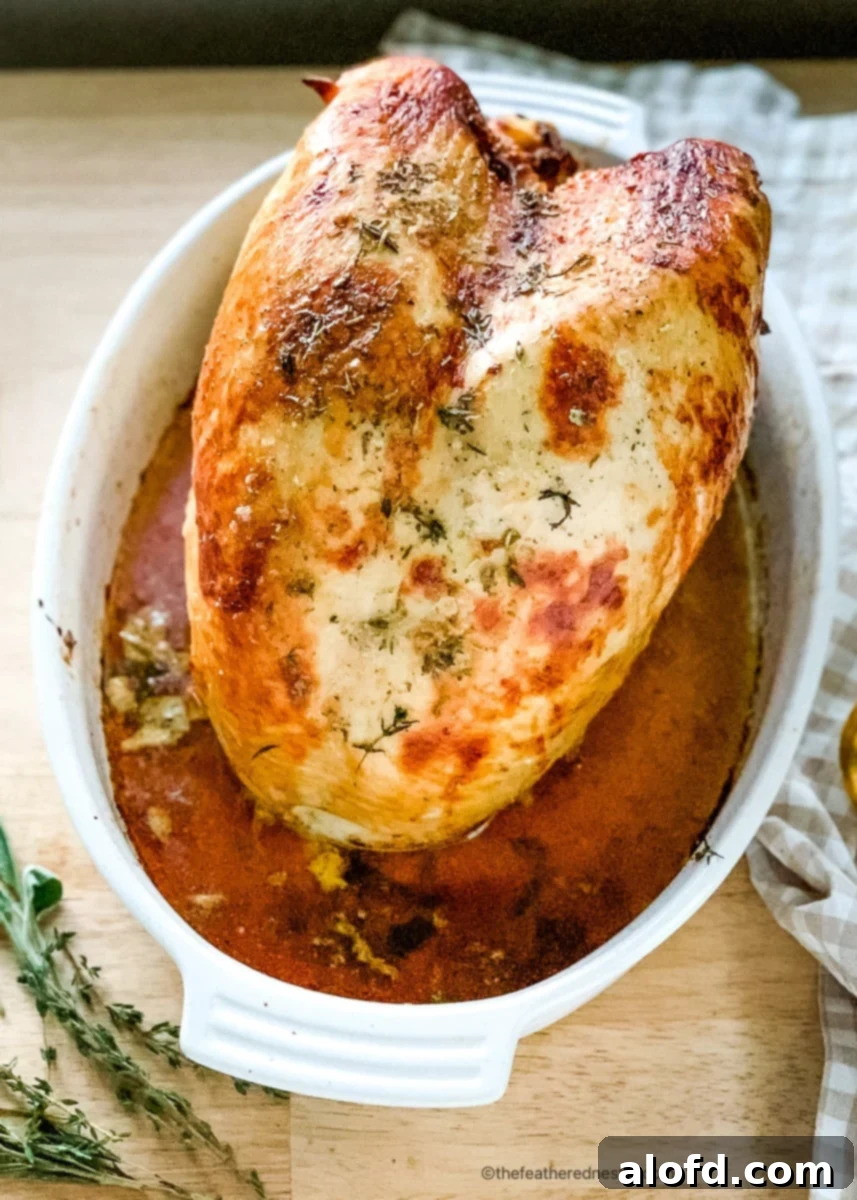 A perfectly roasted turkey breast, golden and ready to carve and serve for a delicious Thanksgiving meal.