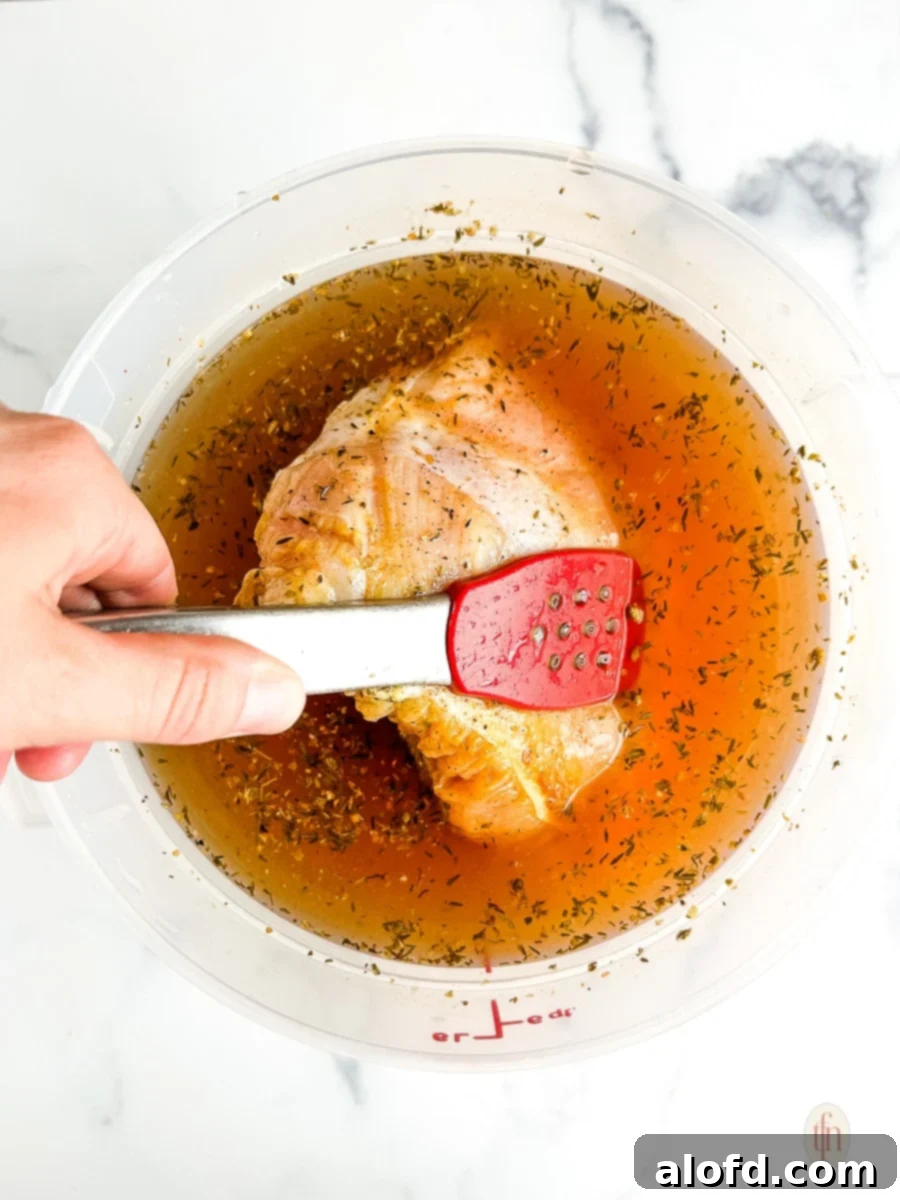 Preparing a turkey: placing the turkey into a bucket filled with a rich, aromatic brine for maximum flavor and tenderness.