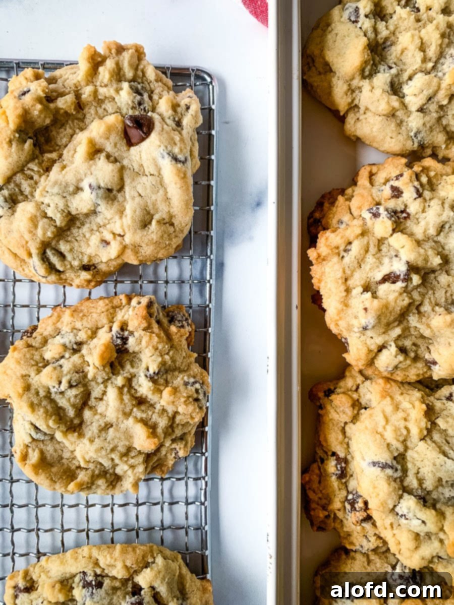 Allergy-friendly chocolate chip cookies on a baking sheet and a cooling rack.