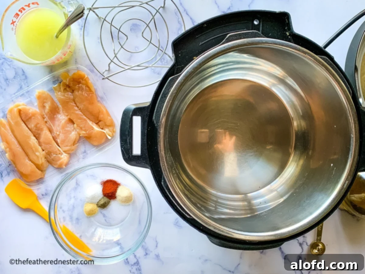 Instant Pot next to fresh chicken tenderloins and a variety of spice seasonings, ready for an easy weeknight meal preparation.