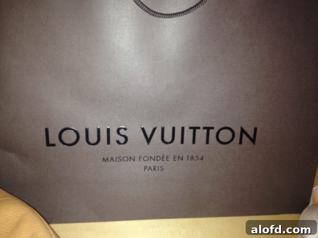 My Life in Handbags: A Passionate History 5 My first Louis Vuitton Portobello bag in Damier Ebene canvas.