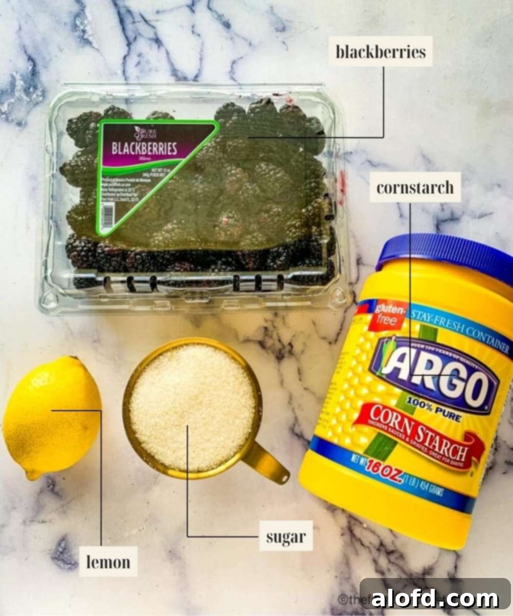 Effortless Bisquick Blackberry Bliss 3 Labeled ingredients image for blackberry cobbler, showing fresh blackberries, Bisquick mix, sugar, lemon juice, milk, and butter.