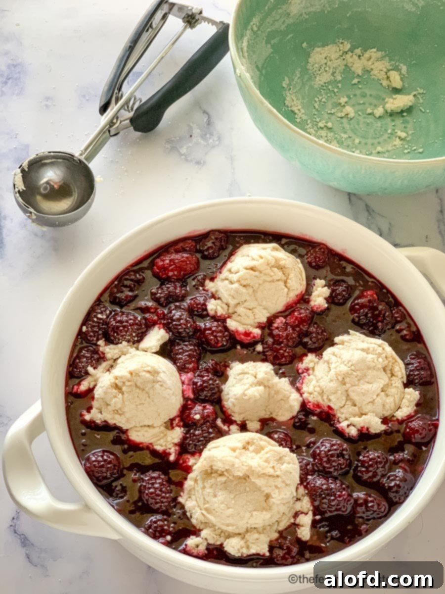 Effortless Bisquick Blackberry Bliss 7 Golden-brown biscuit topping over the blackberry cobbler recipe, freshly baked and ready to serve.