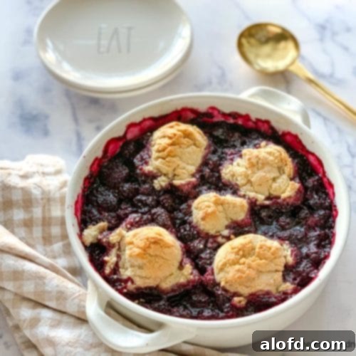 Effortless Bisquick Blackberry Bliss 9 A casserole dish with baked Bisquick blackberry cobbler, ready to serve.