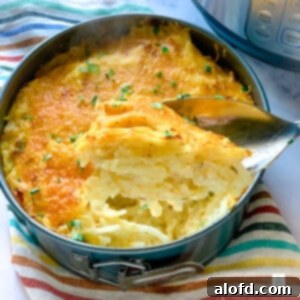 Creamy Instant Pot Cheesy Potatoes 10 Spoonful of Instant Pot cheesy potatoes above the remaining casserole.