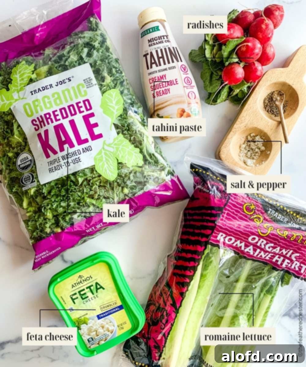 A visual guide showing individual ingredients for a refreshing kale salad, including fresh kale leaves, vibrant romaine lettuce, crumbled feta cheese, thinly sliced radishes, and shredded purple cabbage, all neatly arranged.