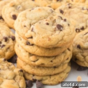 A stack of cookies.