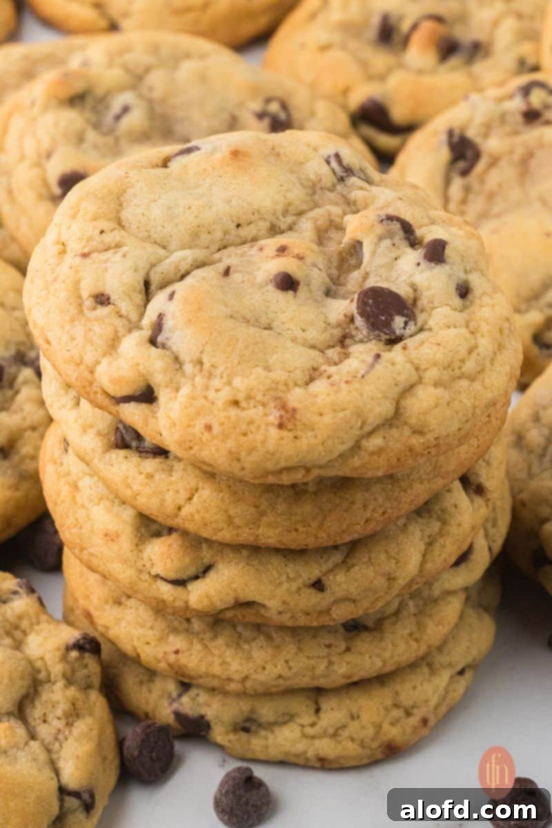 A stack of cookies.