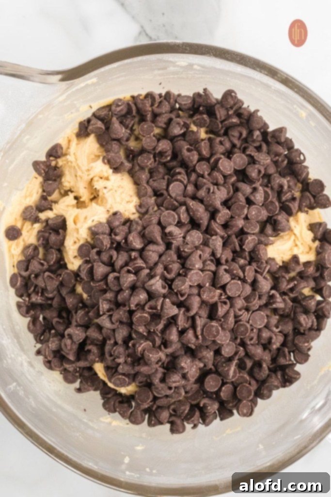 Cookies dough with chocolate chips.