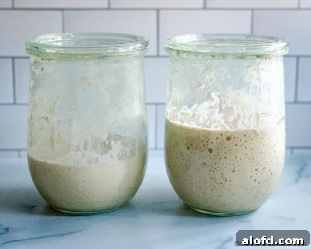 Two jars side-by-side demonstrating the process of feeding a sourdough starter, adding flour and water.