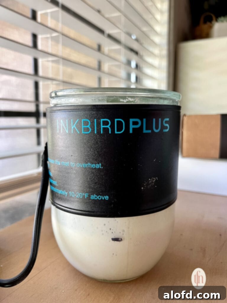 A Weck jar of sourdough starter with a heating wrap applied to maintain optimal fermentation temperature.