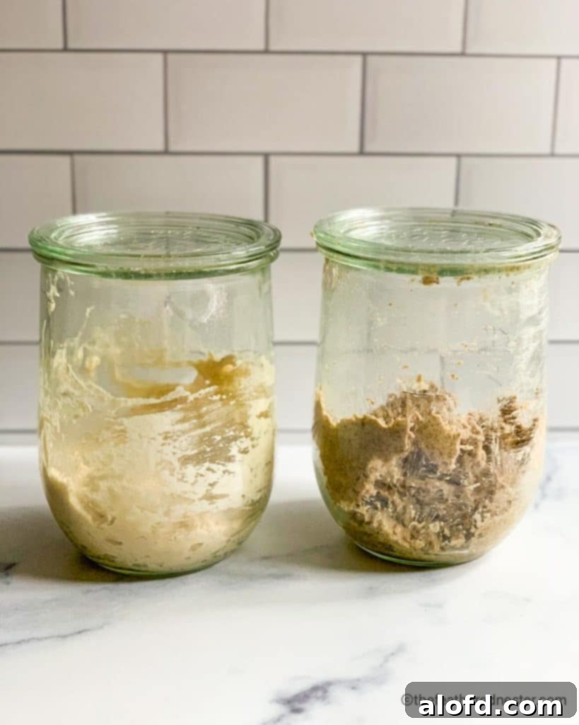 Two Weck jars, one containing an all-purpose flour sourdough starter and the other a rye flour starter, side by side.