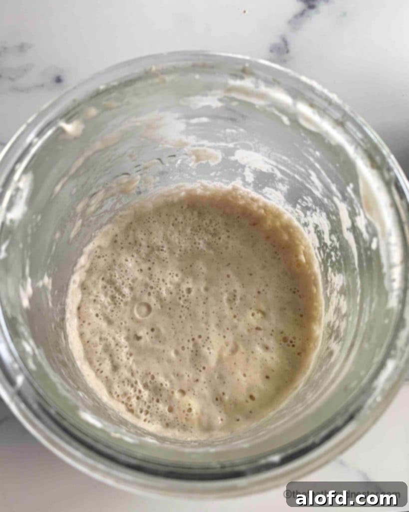 A Weck glass jar showing a sourdough starter on Day 3, with increasing bubbly activity.