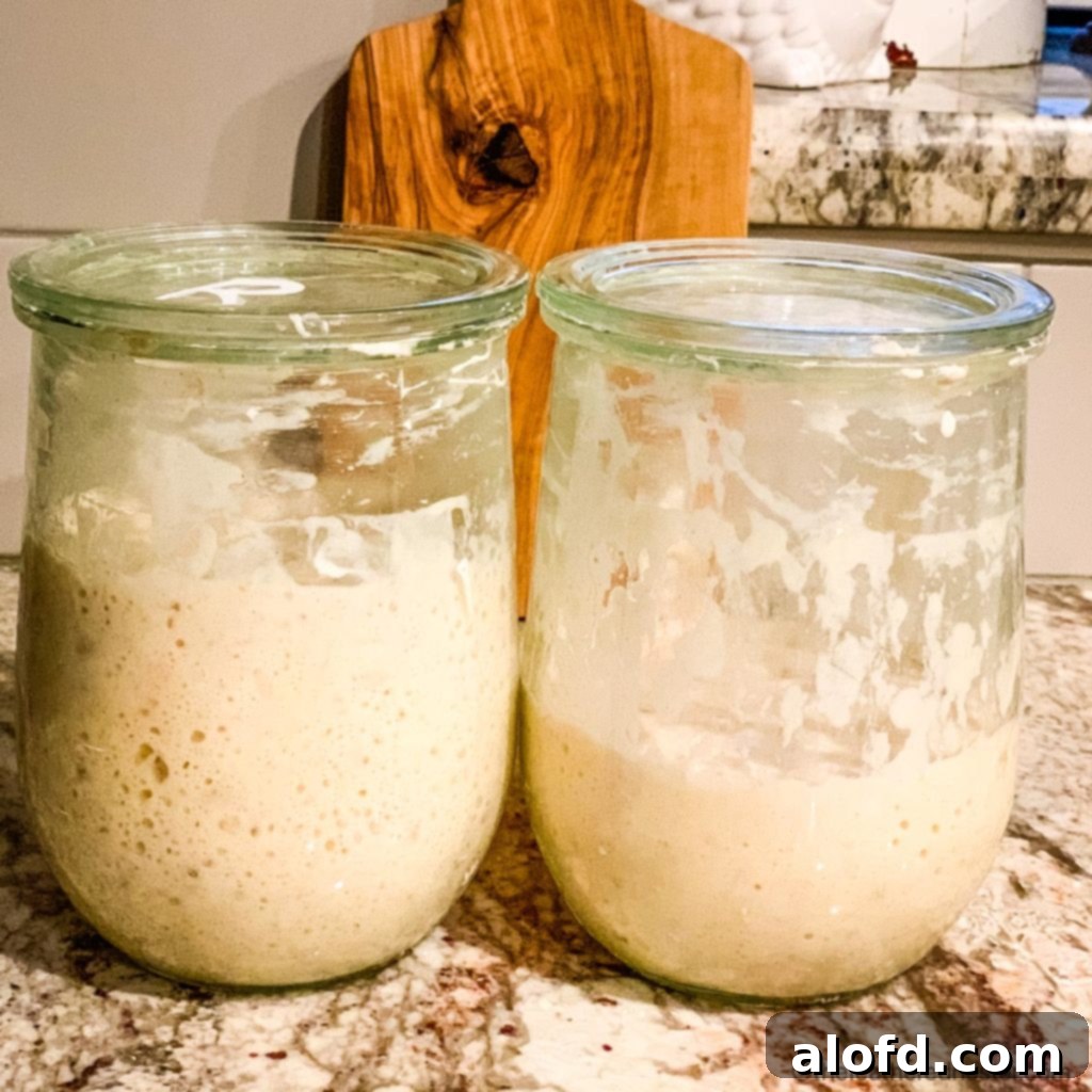 Two jars on Day 5, one with a rye flour sourdough starter and the other with an all-purpose sourdough starter, both showing significant pre-feeding activity.