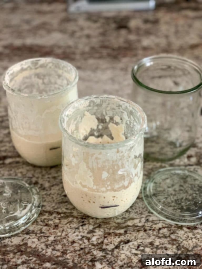 A jar of bubbly white flour and water, showing a mixture of rye and all-purpose sourdough starter.