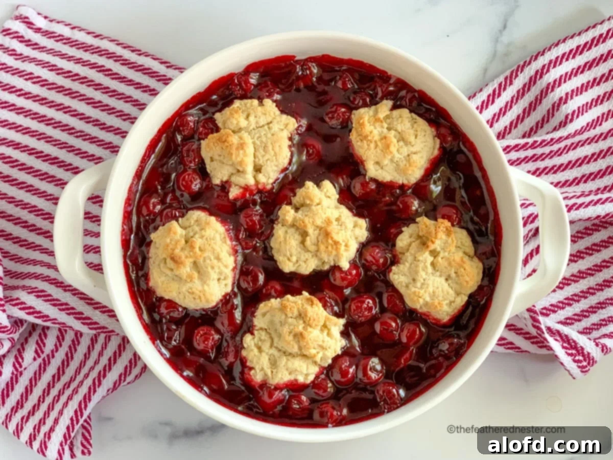 A baked Bisquick cherry cobbler in a round white baking dish, sitting elegantly on a festive red and white striped napkin. The golden-brown biscuit topping and bubbling cherry filling promise a sweet, juicy, and simple summer dessert, perfect with whipped cream or ice cream.