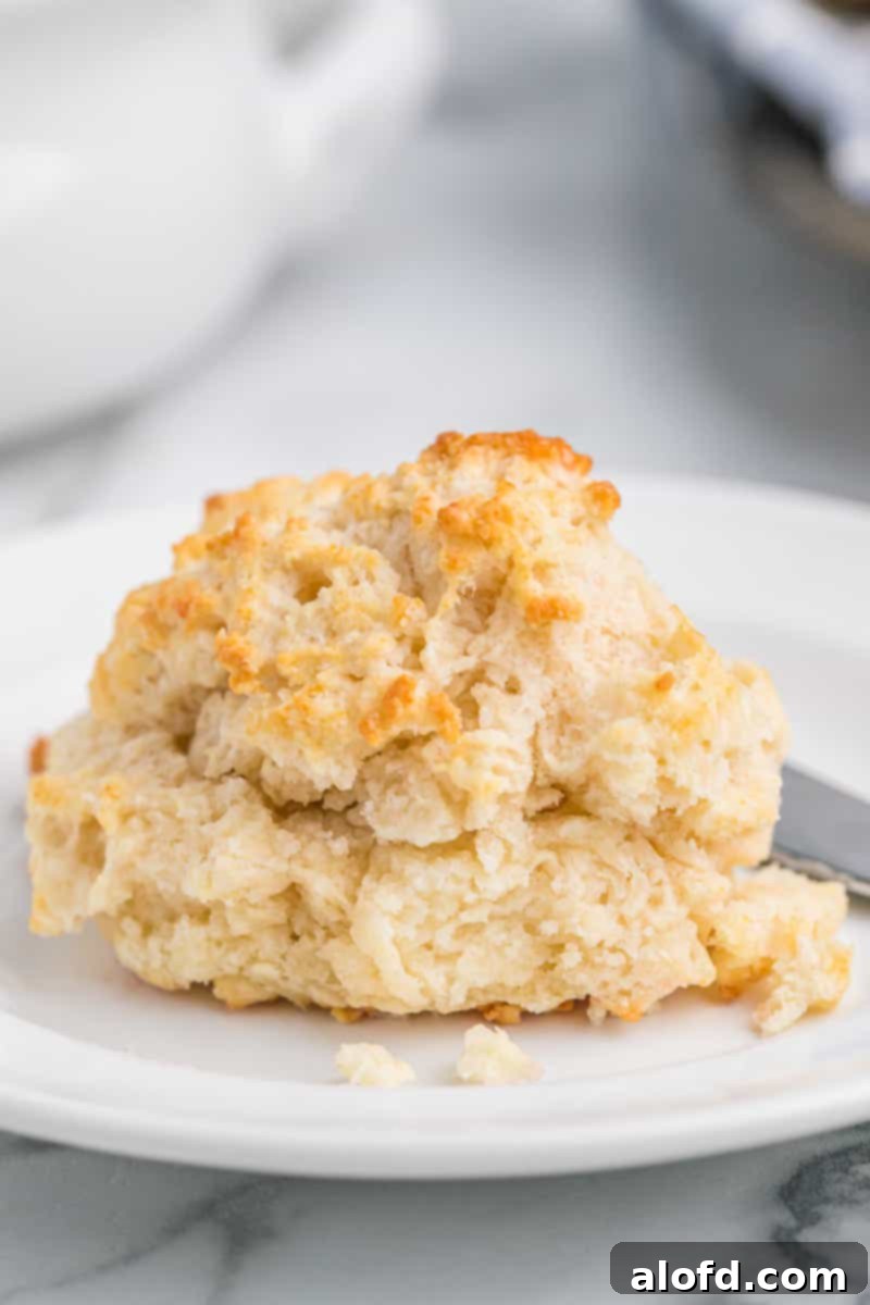 Homestyle Buttermilk Biscuits 9 A single, perfectly baked buttermilk drop biscuit on a white plate, highlighting its soft texture.