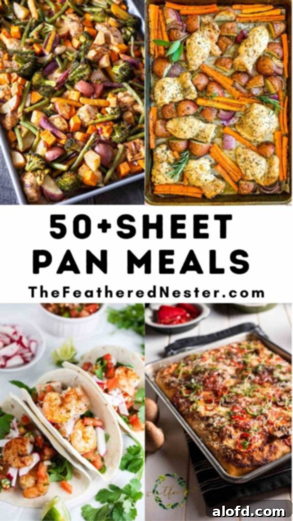 A vibrant collage showcasing diverse one-pan meals, highlighting the versatility of sheet pan cooking.