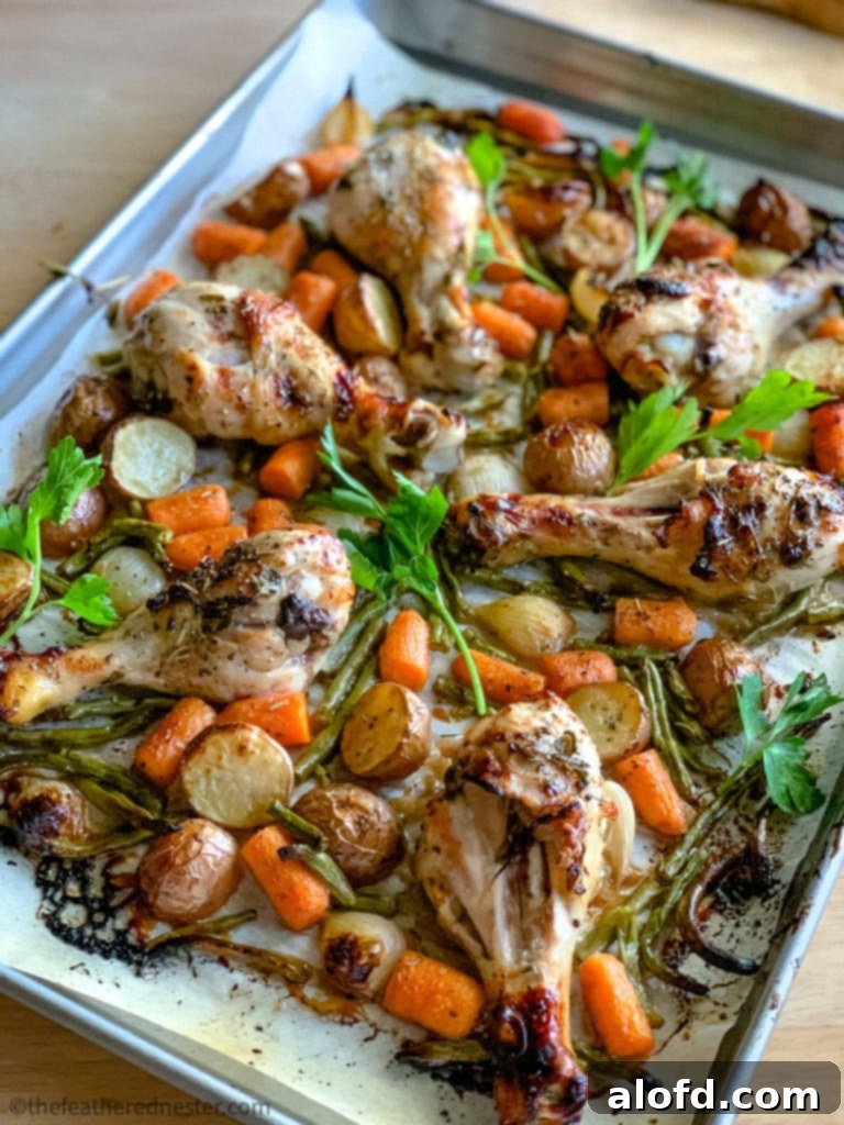 Crispy, golden-brown chicken drumsticks, perfectly roasted.