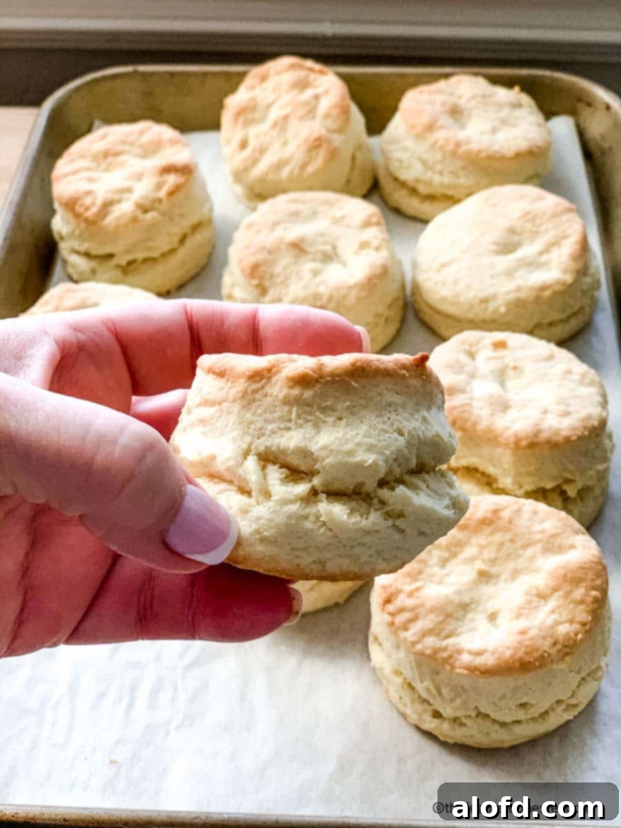 Fluffy Biscuits with Creamy Sausage Gravy 4 A pan of freshly baked biscuits.