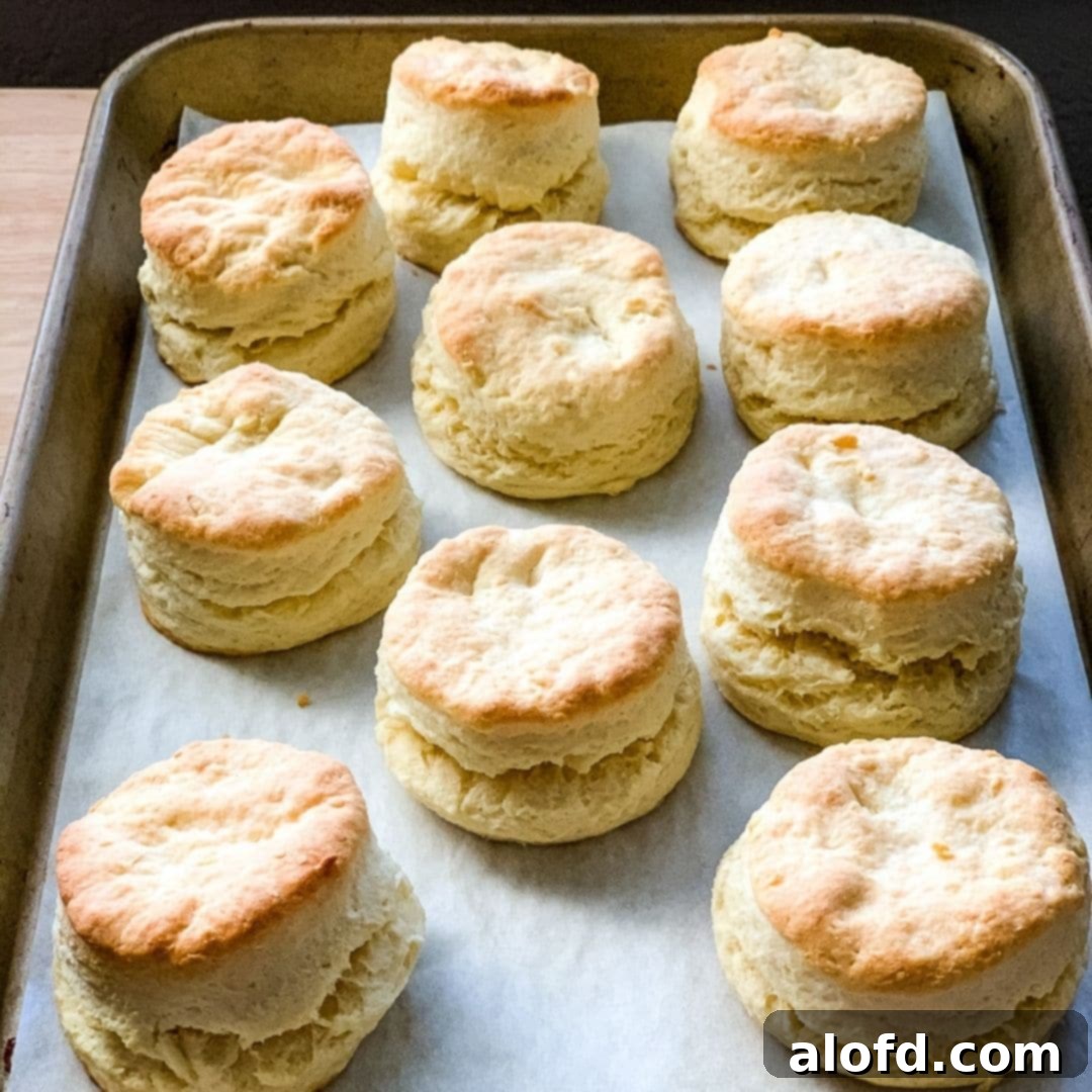 Fluffy Biscuits with Creamy Sausage Gravy 6 a baking sheet of biscuits.
