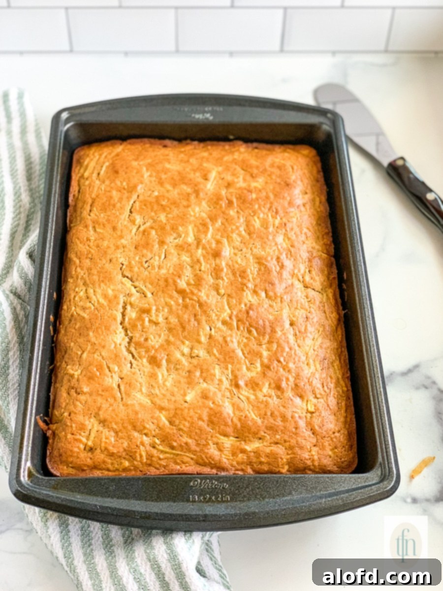A freshly baked sourdough apple cake, golden brown and still in its baking pan.