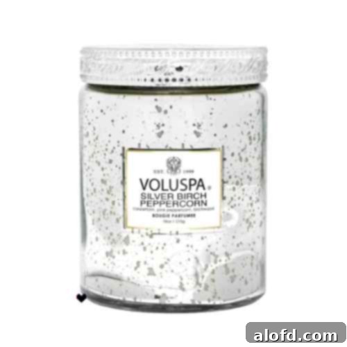 A large Voluspa Silver Birch & Peppercorn jar candle, exuding a sophisticated and inviting aroma perfect for creating a warm ambiance in any home, an ideal gift for hosts and home decorators.