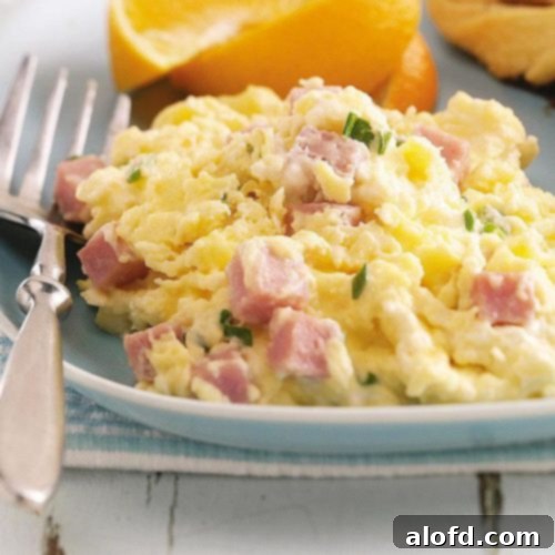 The Feathered Nester's Food Quest 11 A plate of perfectly cooked scrambled eggs, accompanied by a fork, and optional pieces of ham on the side, ready to be enjoyed.