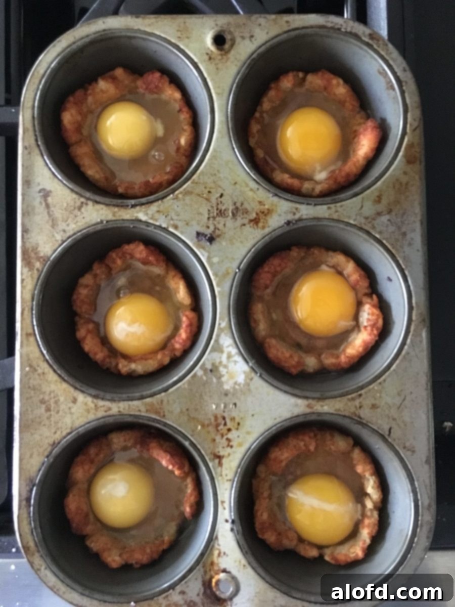 Crispy Tater Tot Egg Bites 4 A muffin pan showcasing raw eggs carefully placed inside golden-brown tater tot nests, illustrating the pre-bake stage with fillings ready for the oven.