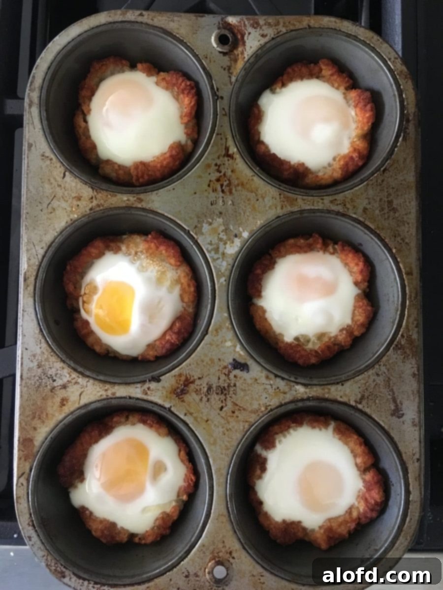 Crispy Tater Tot Egg Bites 5 Six perfectly formed potato and egg nests nestled in a muffin tin, showcasing the structure and readiness for baking or post-bake presentation. Each cup is filled and holds its shape.